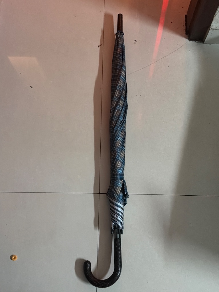 Umbrella - Image 11