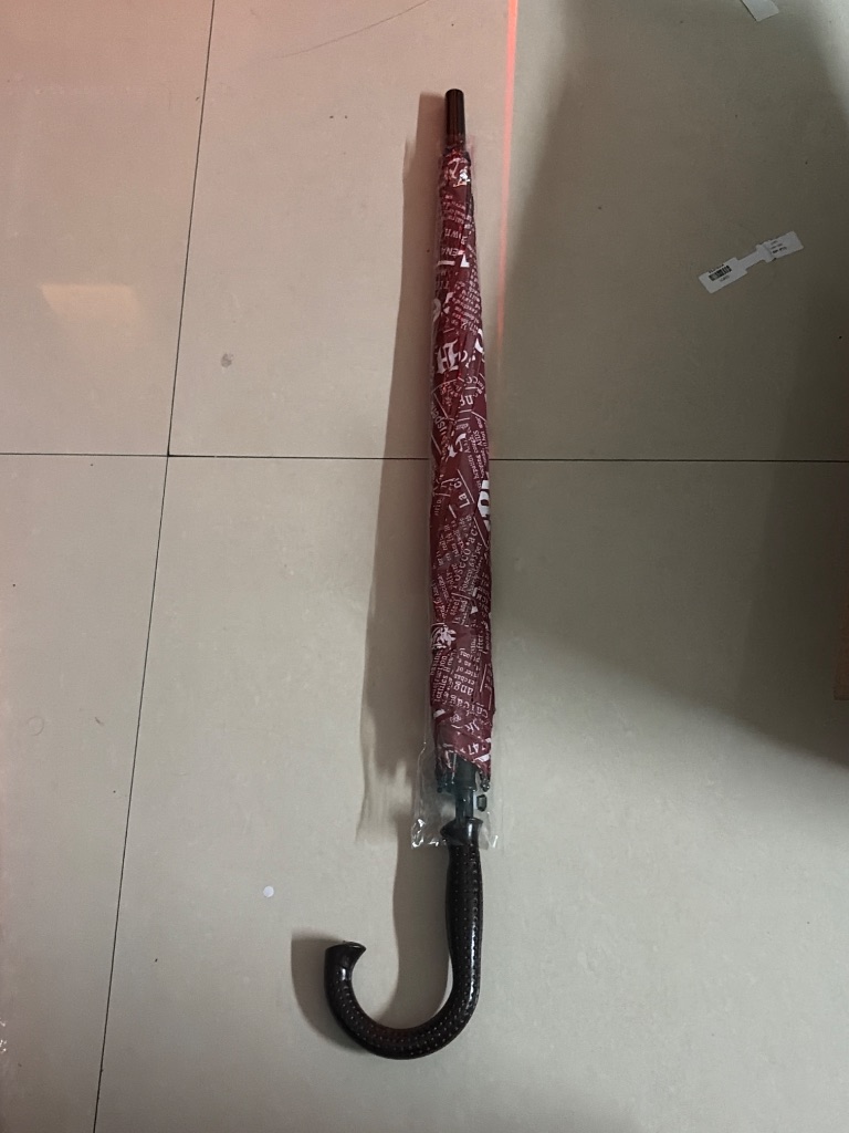 Umbrella - Image 7