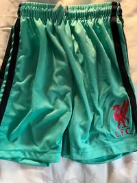 Boys Shorts thumbnail 2