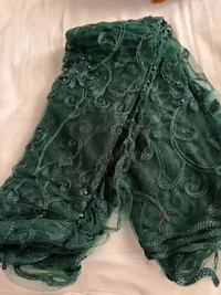 Net Dupatta thumbnail 8
