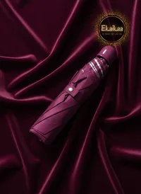 2 Fold Umbrella thumbnail 2