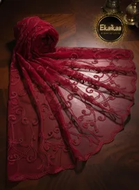 Net Dupatta thumbnail 4