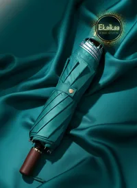 2 Fold Umbrella thumbnail 10