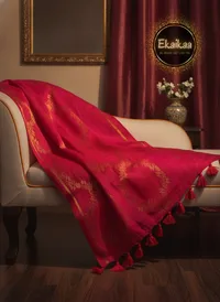 Mul Cotton Saree thumbnail 17